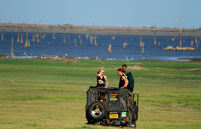 Minneriya National Park